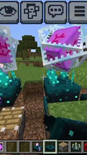 Minecraft new viral tiktok hack💀 #minecraft #music #shorts #trending