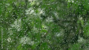 Spring garden blurred view through rainy window. Water sprinkling on vertical glass in slow motion. Vibrant abstract natural background. High speed camera shooting.