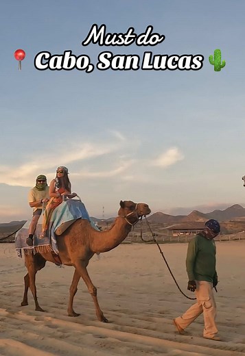 Experience Camel Riding and ATV Adventures in Cabo