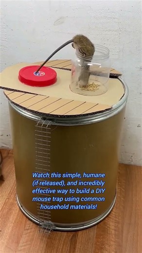 ​🐭🏠 Easy Mouse Trap Idea!. Just a Simple and Effective Way to Capture Mice
