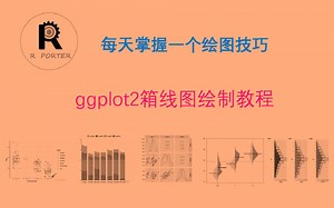 1.R语言绘图 | ggplot2箱线图教程