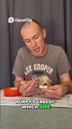 Easy Way To Keep Puppies Safe While Feeding!