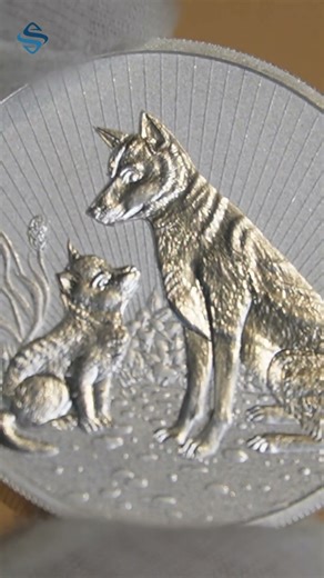 🐕 Mother and Baby Dingo 2 oz Silver Piedfort Coin - The Perth Mint #shorts