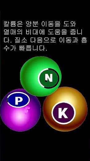 #shorts 질소N), 인산(P),칼륨(K)의 역할과 성질 1분 요약, 비료 3요소, 비료 공부 #질소 #비료 #비료3요소 #비료공부