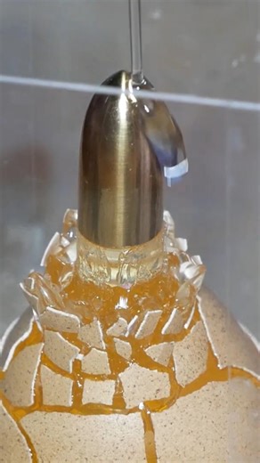 Shooting Egg / Stop Motion