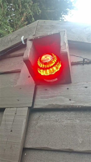 Apollo discovery open area sounder - emergency warning siren tone