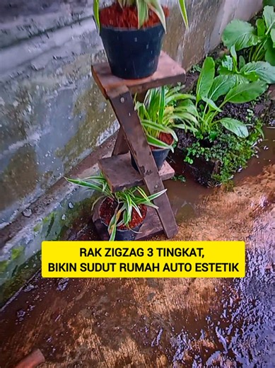 Rak zigzag 3 tingkat ini bukan cuma tempat naruh pot, tapi bikin sudut rumah jadi lebih hidup 🌱 Modelnya simpel, hemat tempat, tapi tetap estetik dipandang. Cocok buat tanaman hias, cabe, atau koleksi pot kecil di lahan terbatas. Dari sudut kosong… jadi sudut favorit 💚 #rakzigzag #rakestetik #rakminimalis
