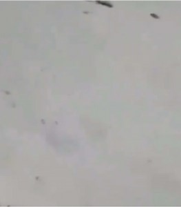 Exploring Tracks in a Snowy Landscape