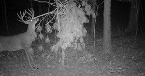 6.9K views · 126 reactions | We've finally found the cell camera that meets all our needs from Black Gate Hunting Products. There's so many great features to love about these cameras and Kyle walks you through the differences between the R4G and the R4G Lite. To top it off, they have data plans that fits everyones needs. | Team Radical | Facebook