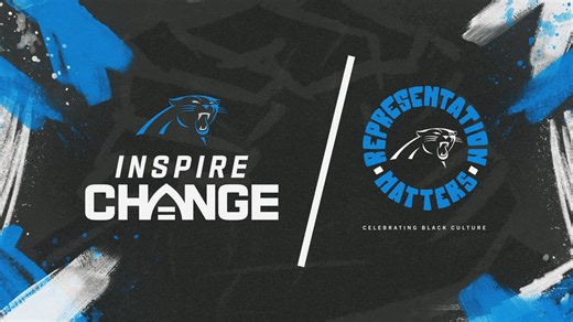 Timeline of the Panthers in Germany