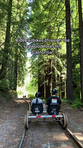 Breeze through the ancient redwoods of Mendocino County on the Skunk Train’s Pudding Creek Railbikes🌲 The 2-hour tour includes a stopover at Glen Blair Junction where you can hike the scenic loop trail or enjoy a picnic 🧺 (🎥: gourmetpigs on IG) #VisitCalifornia #California #Mendocino #railbikes #train #cooltour #uniquetour #travel #vacationideas #redwoods #forest #adventure #traveltiktok #views #uniqueexperiences #northcoast