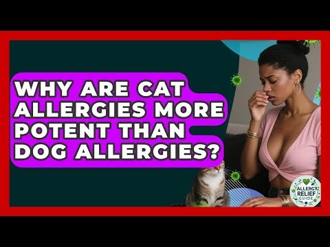 Why Are Cat Allergies More Potent Than Dog Allergies? - Allergy Relief Guide