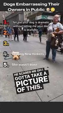 Top 5 Dogs Embarrassing Their Owners in Public 🐶😳