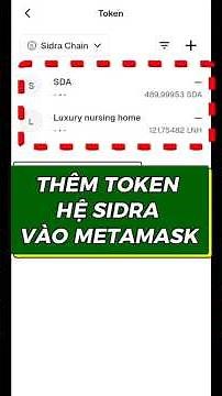 How to Add Sidra Network Tokens to MetaMask to View Balance | Safe Crypto #DigitalTrust #BiDiMCN