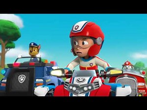 PAW Patrol Pups Save The Runaway Kitties