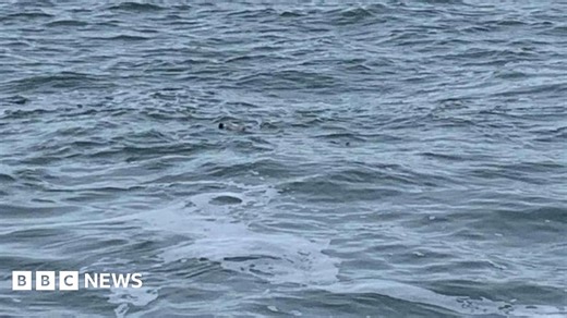 Mystery of message in a bottle found on Devon beach solved