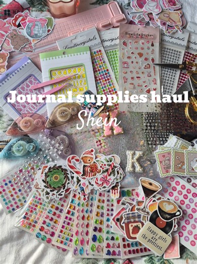 Shein Journal Supplies Haul for Creative Projects