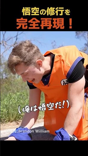 A perfect reproduction of Goku's training!