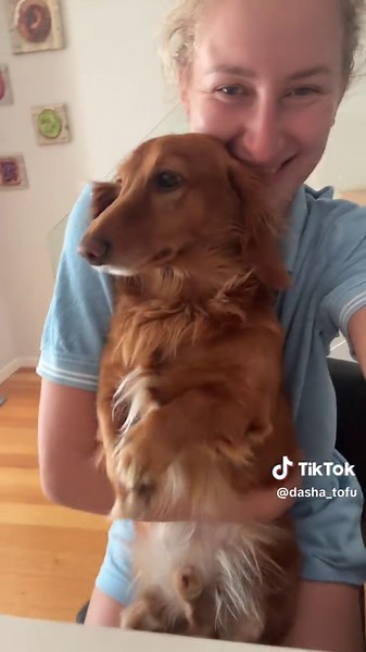 Delicious Crispy Tofu Recipes to Try Today