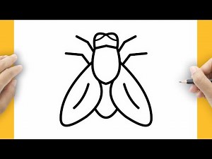 HOW TO DRAW FLY EASY STEP BY STEP | LEASSON DRAWING ANIMALS
