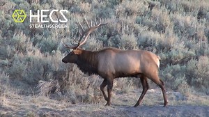 Be sure to check out Hunting with HECS on Pursuit Channel "We Deliver The Outdoors" as we demonstrate the effectiveness of HECS in the field!! Monday-5pm EST Tuesday-no show Wednesday-11pm Thursday-no show Friday-6:30pm Saturday-no show Sunday- 2:30pm #huntingwithhecs #hecs #hunting #hecsstealthscreen #bowhunting #outdoors | HECS