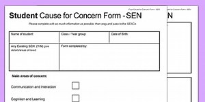 Student Cause for Concern Form SEN