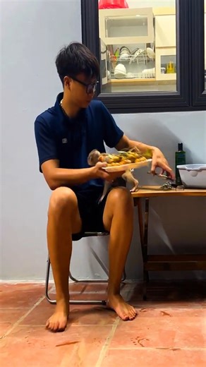 17K views · 376 reactions | Lala helps Dad renovate the farm in the new house #Lala #Monkey #Bibi | Lala Update | Facebook