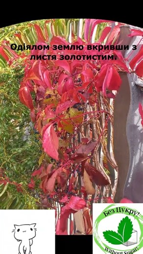 Вітання з осінью 2025 року #animation #healthy #nature # autumn