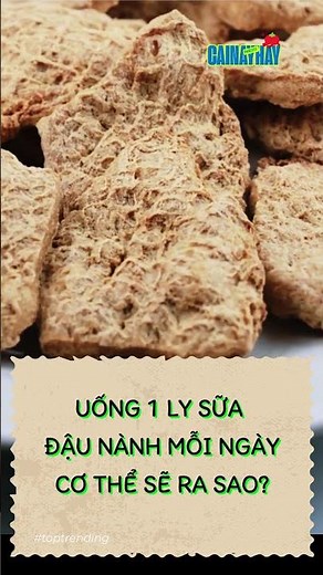 Uống 1 Ly Sữa Đậu Nành Mỗi Ngày Cơ Thể Sẽ Thay Đổi Gì?