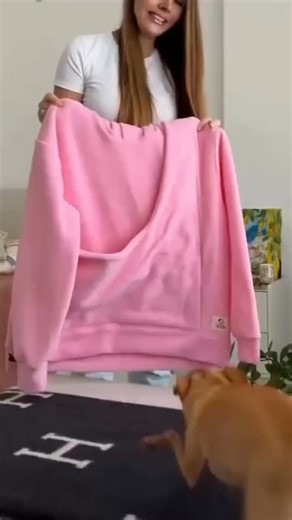 Chihuahua on Instagram: "Wrap yourself in pure coziness with the Cozy Plush Kangaroo Pocket Pullover™! 🍂✨ Whether you’re cuddling up on a chilly night or lounging in style, this ultra-soft pullover has you covered. 💕 With a spacious kangaroo pocket for warmth and storage, and a chic design that’s perfect for any occasion, comfort has never looked so good! 😌 ✨ Link in bio @chihuahuastagrams ✨ 👉 Elevate your relaxation game & create cozy moments with loved ones. ✔️ Soft, soothing warmth all da