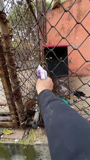 325K views · 1.9K reactions | #monkeyfunny #monkey #funnymonkey #monkeymemes #monkeylove #monkeyfun #meme #monkeymeme #monkeys #funny #memes #lol #monkeysofinstagram #ma #monke #chimp #chimpmeme #chimpanzee #bonobo #ape #funnymeme #gorilla #funnymonkeymeme #monkee #monkeememe #haha #memesdaily #orangutan #aprilfoolsday #hehe | Lover Nature | Facebook