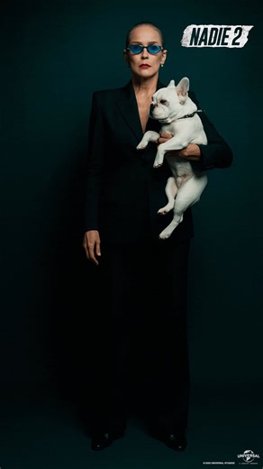 Universal Pictures on Reels