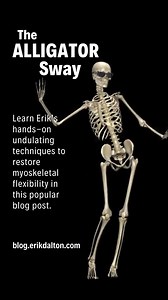 8.1K views · 138 reactions | The Alligator Sway Undulating their...