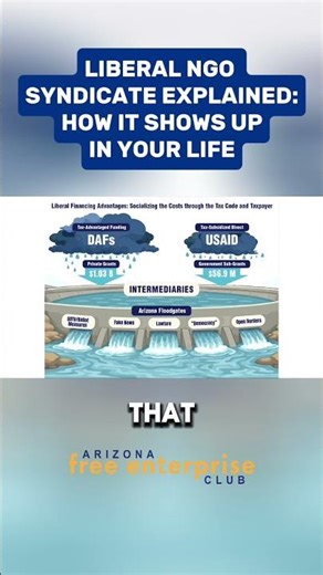 ARIZONA REPUBLICANS - THIS IS THE LIBERAL NGO Syndicate Explained