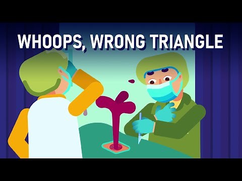 Neck Anatomy | The Triangles in Your Neck