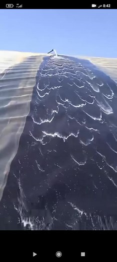 Vidéos de nabilhamdouch5 (@nabilhamdouch5) avec son original - Cheb Yazid 🎤Marseilleشاب يزيد