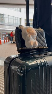 🎁✨ Labubu Giveaway! ✨🎁 Calling all Labubu fans! The festive season is here, and we’re spreading joy with a special giveaway! 🎄 Here’s your chance to add this adorable treasure to your collection! 🌟 How to Enter: 1️⃣ Download the One World Hotel mobile app here https://www.oneworldrewards.com.my and register for free. 2️⃣ Book our "Stay & Take Home Labubu" room with a minimum of 02 nights for the month of December. 3️⃣ The FIRST 50 bookings will receive 01 x Labubu Blindbox. Your festive stay