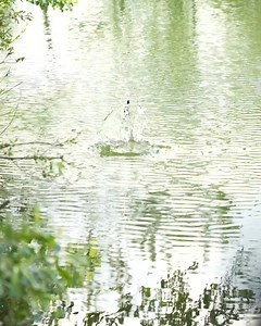 28K views · 146 reactions | You'll never want to make this mistake! Matrix Submerged is BACK with another great episode! Take your Method feeder Fishing to another level with the INCREDIBLE underwater footage! | Fish Matrix | Facebook