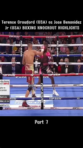Crawford vs Benavidez Jr: Boxing Knockout Highlights