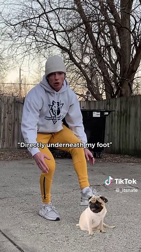 Pug-Related Toe Break: The Dumbest Way Possible!