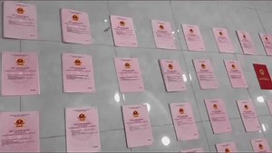 33K views · 19 reactions | SaigonTV on Reels | Facebook