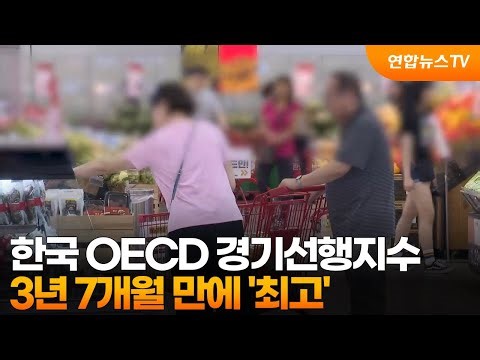 한국 OECD 경기선행지수 3년 7개월 만에 '최고' / 연합뉴스TV (YonhapnewsTV)