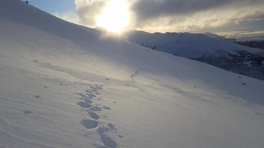 How do Alaskans cope with nearly all-day darkness in winter, all-night daylight in summer?