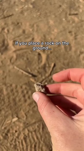 Emergency Prep | Outdoor Skills on Instagram: "Just a cool little compass trick. . . . #outdoors #suunto #compass #hiking #fblifestyle"