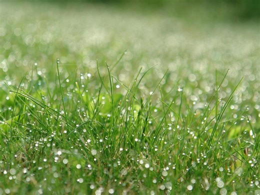 Will It Feel Like Spring In NYC With Arrival Of Vernal Equinox?