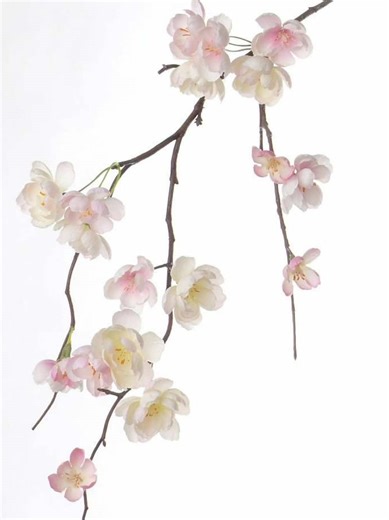 No not my usual post idrc um I am just bored lowk. . . . . . . . It is important you know what’s happening pspspsp #degrassinextgeneration #degrassieligoldsworthy #degrassi #fyp #viral