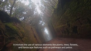 Mastering Landscaping: Techniques and Designs for landscaping