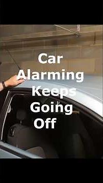 Car Alarm - Keeps Going Off - Troubleshoot