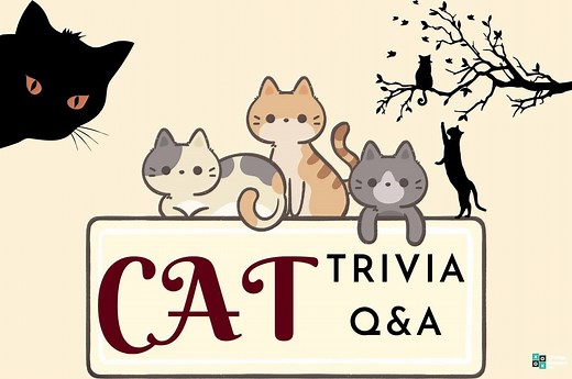 49 Cat Trivia Questions and Answers
