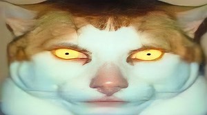 What Is The 'Monday Left Me Broken' Meme? The Creepy Singing Cat With Yellow Eyes Explained